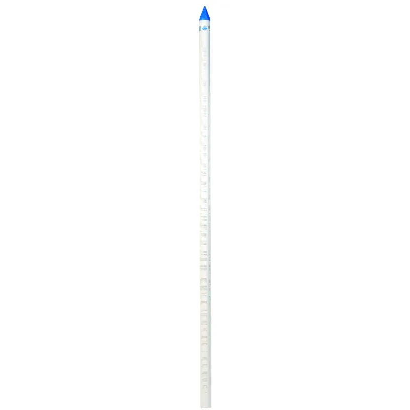 Brady Pvc 1-1/4 In. X 4 Ft. Well Point For Shallow Wells