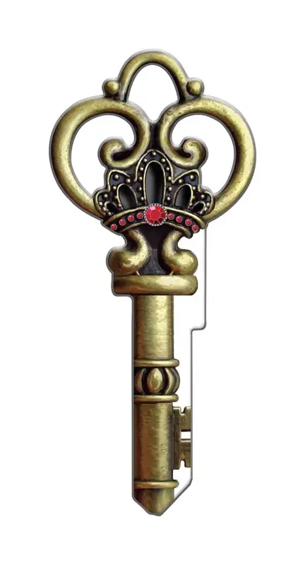 Lucky Line Skeleton House Key Blank Single Multicolored