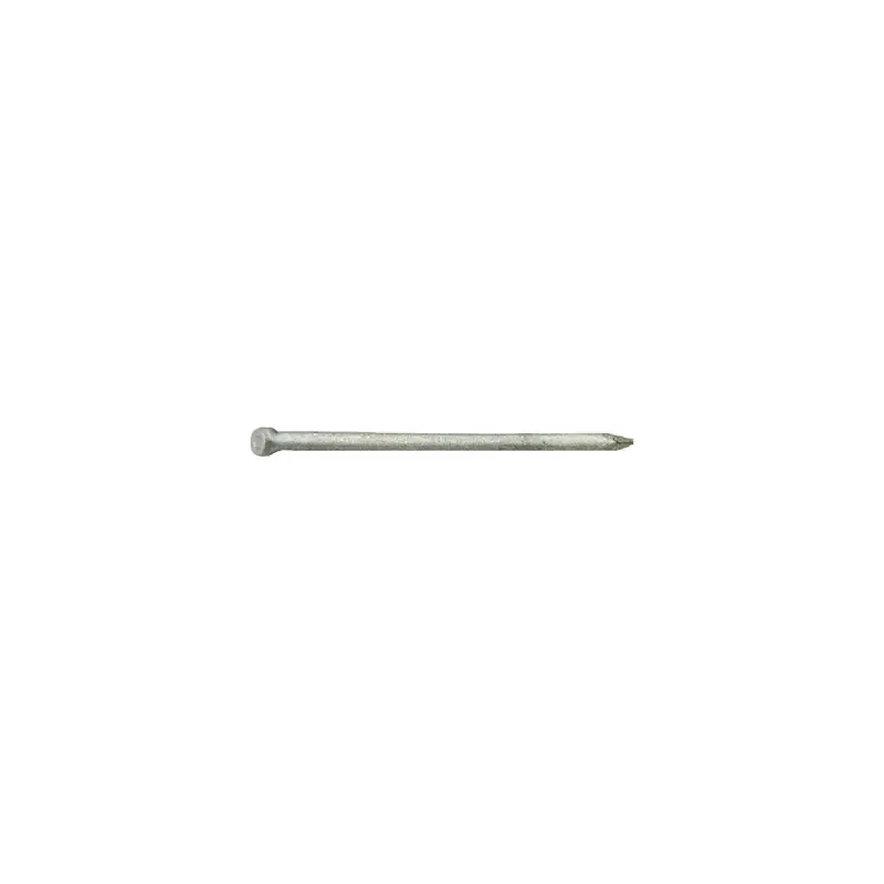 Grip-Rite 12D 3-1/4 In. Finishing Hot-Dipped Galvanized Steel Nail Brad Head 1 Lb