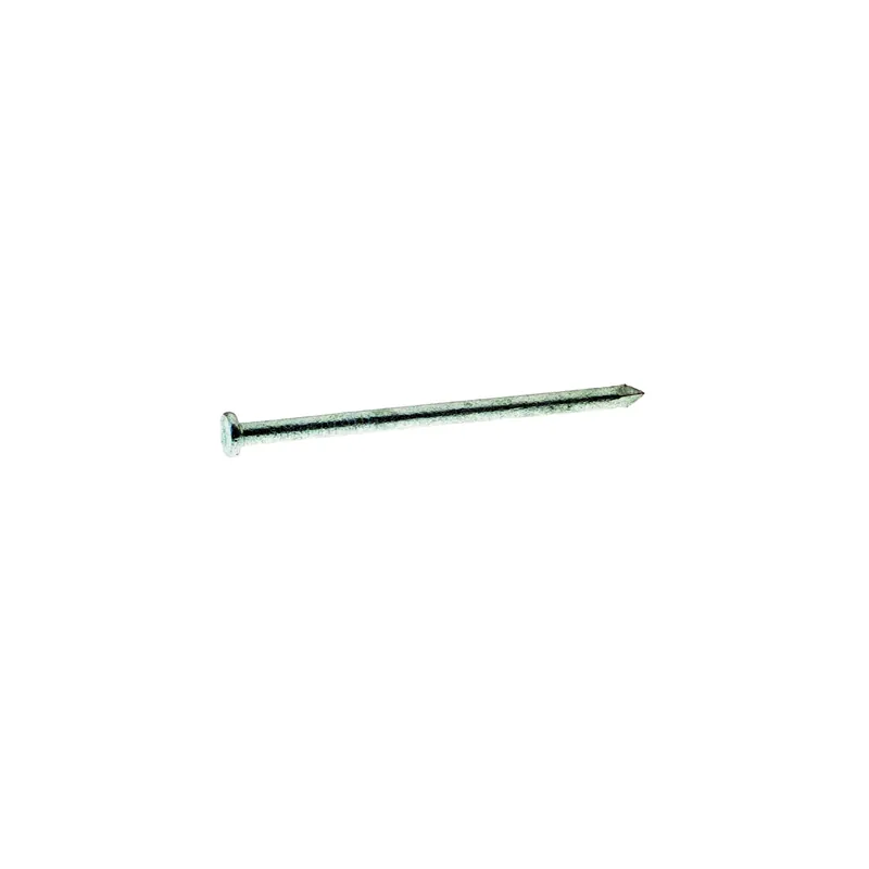 20d X 4 In. Hot Galvanized Common Nails, 50 Lb Box, 1450 Count