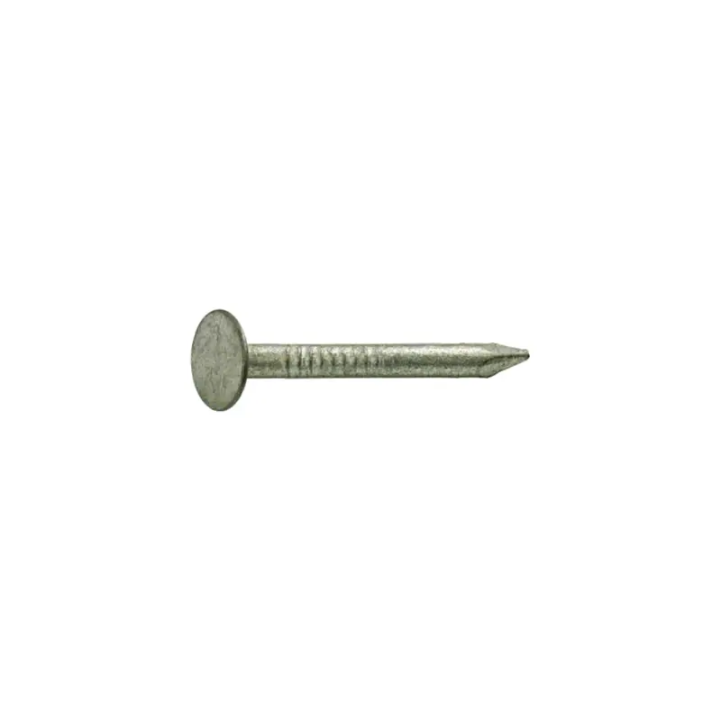 Grip-Rite 2-1/2 In. Roofing Hot-Dipped Galvanized Steel Nail Flat Head 1 Lb