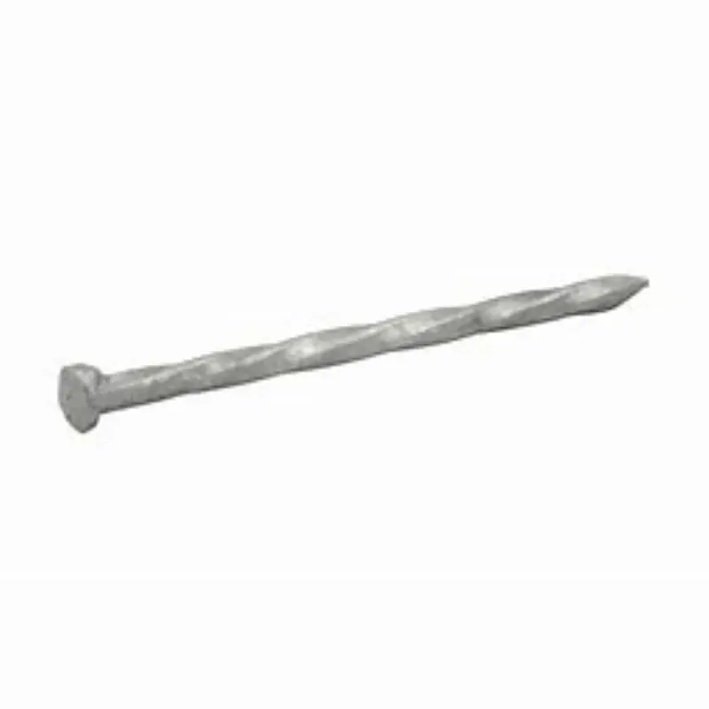 6d 2 In. Hot-dipped Galvanized Steel Siding Nail Flat Head 1 Lb