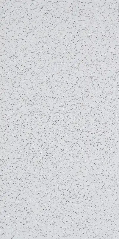Ceiling Panel