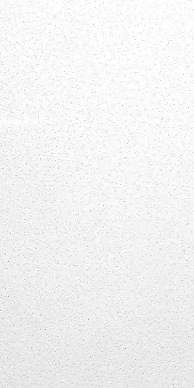 USG Ceilings Tabaret Non-Directional 48 In. L X 24 In. W 0.63 In. Square Edge Ceiling Panel 1 Pk