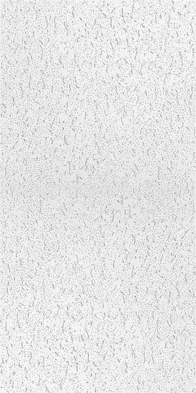 USG 220 Fifth Avenue Square‑Edge Acoustic Ceiling Tile – 48×24 In., White