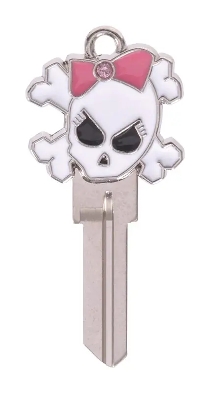 HILLMAN 3D Keys House/Office Universal Key Blank Single For Universal