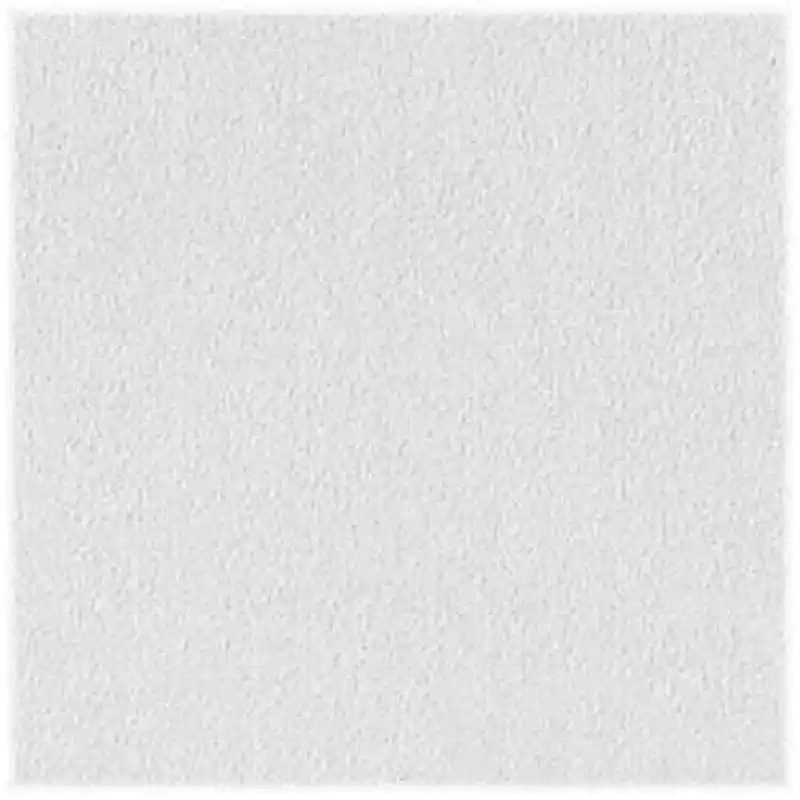 USG Ceilings Sheetrock Non-Directional 24 In. L X 24 In. W 0.5 In. Square Edge Ceiling Panel 1 Pk