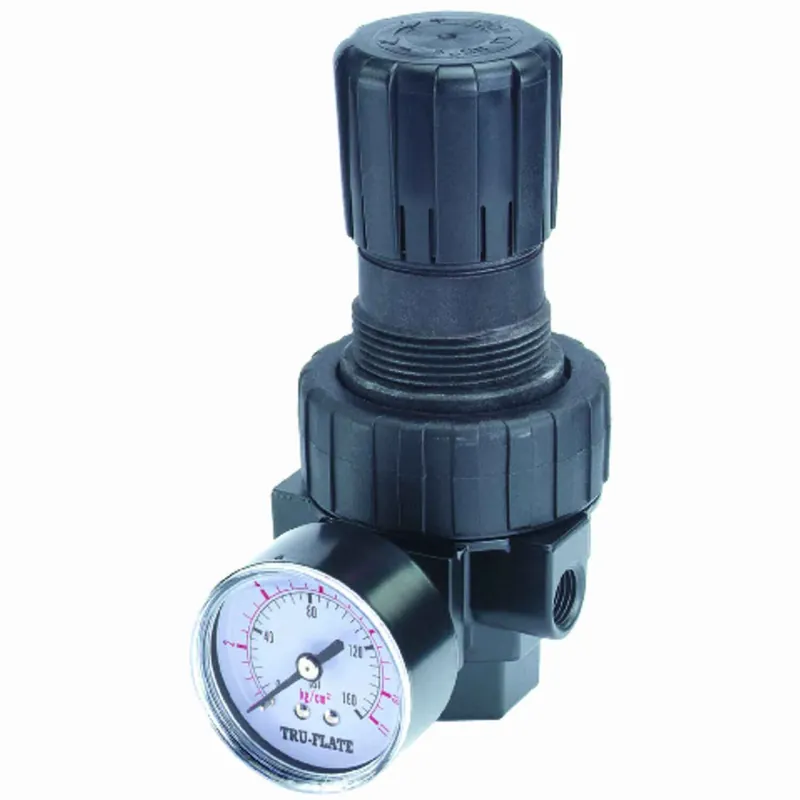 Plastic Compact Regulator With Gauge 1/4 In. Npt 160 Psi Model 24404