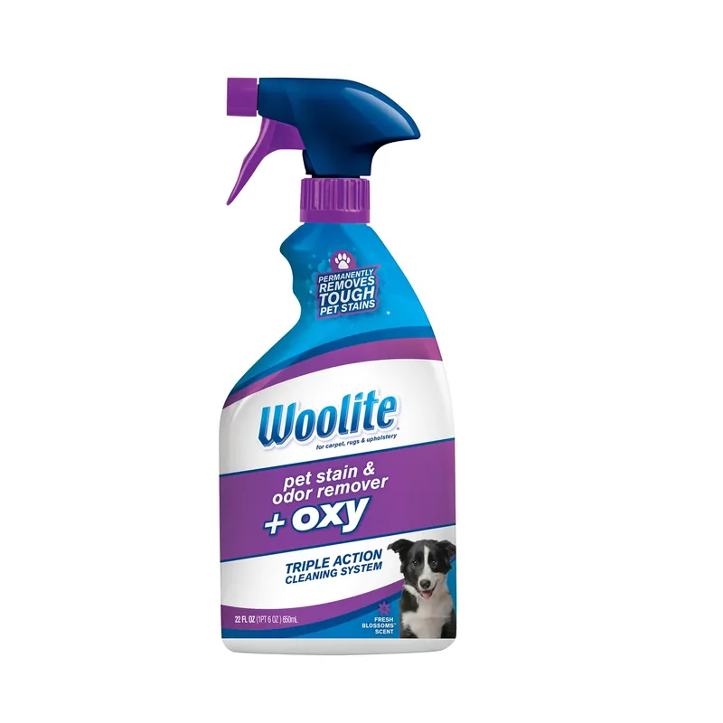 Woolite Cat/Dog Odor/Stain Remover 22 Oz