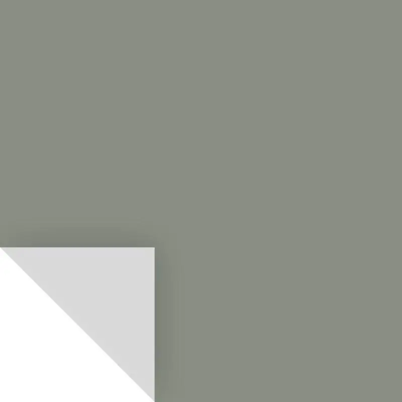 Benjamin Moore Carolina Gull Peel & Stick Color Sample 2138-40 - 14.75" X 9"