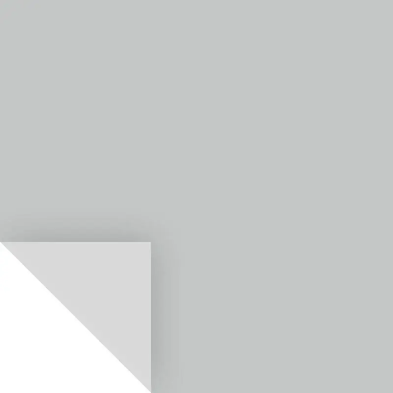Benjamin Moore Silver Lake Peel & Stick Color Sample 1598 - 14.75" X 9"