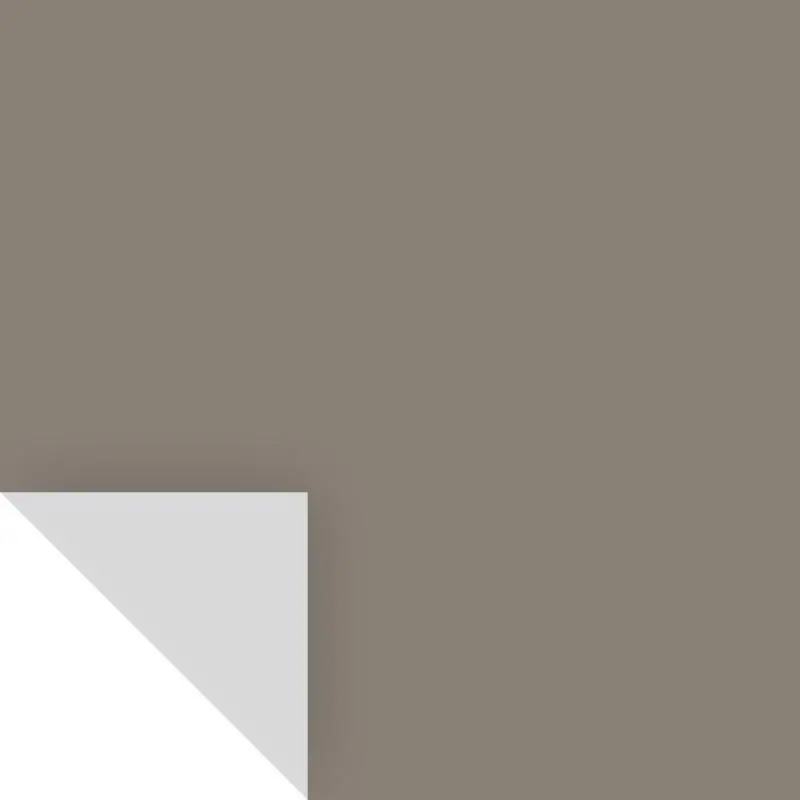 Benjamin Moore Taos Taupe Peel & Stick Color Sample 2111-40 14.75" X 9"