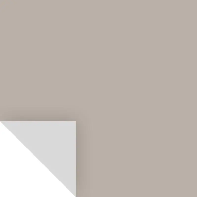 Benjamin Moore Silver Fox Peel & Stick Color Sample 2108-50, 14.75 X 9 In.