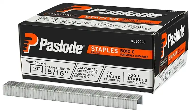 Paslode 5000 Series 1/2 In. W X 5/16 In. L 20 Ga. Wide Crown Staples 5000 Pk