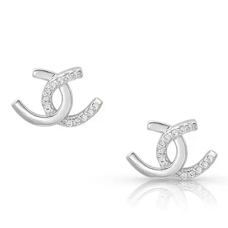 Horseshoe Happiness Post Earrings - Er4505 Jewelry Accessories