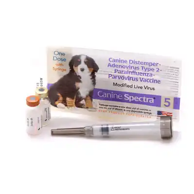 Spectra 5 Canine Vaccine With Syringe - Model 040481