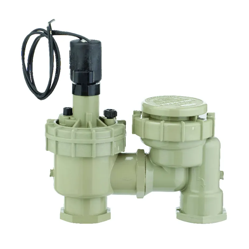 Underground Sprinkler Automatic Anti-Siphon Valve, 1 In.