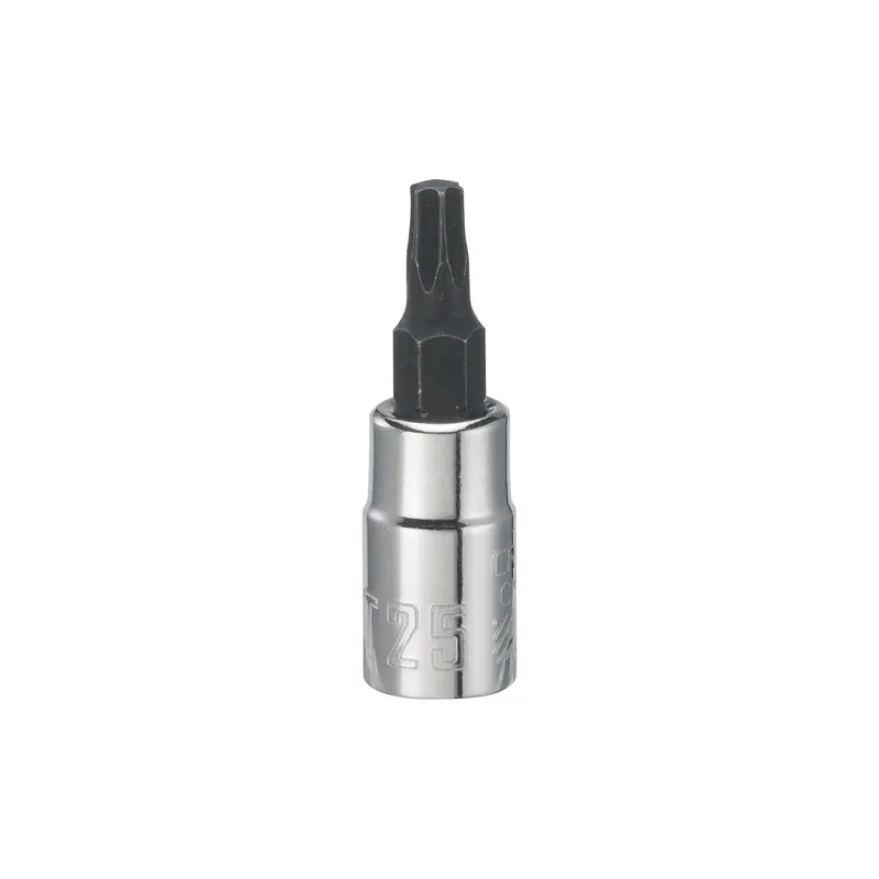 Craftsman T25 1/4 In. Drive Sae 6 Point Torx Bit Socket Cmmt42663