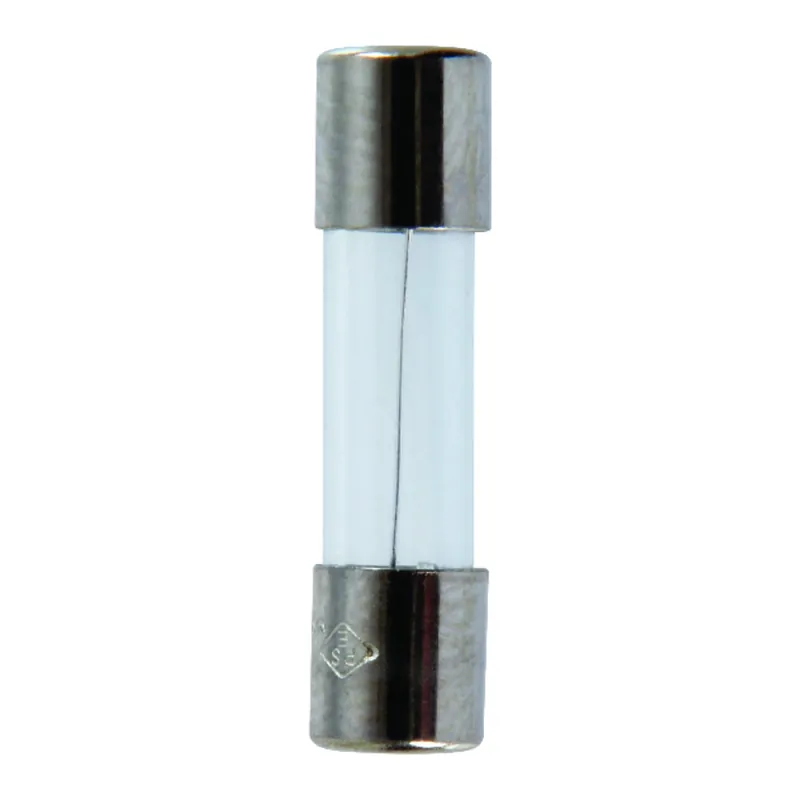 Jandorf GMA 10 Amps 125 Volts Glass Fast Acting Fuse 2 Pk