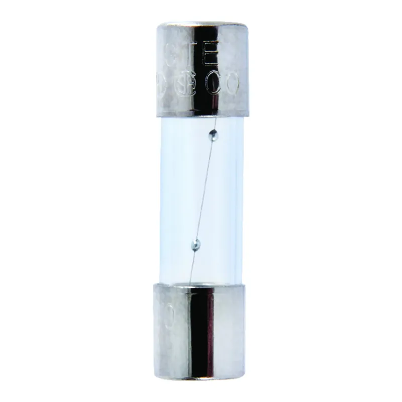 Jandorf GMD 500 250 Volts Glass Time Delay Fuse 2 Pk