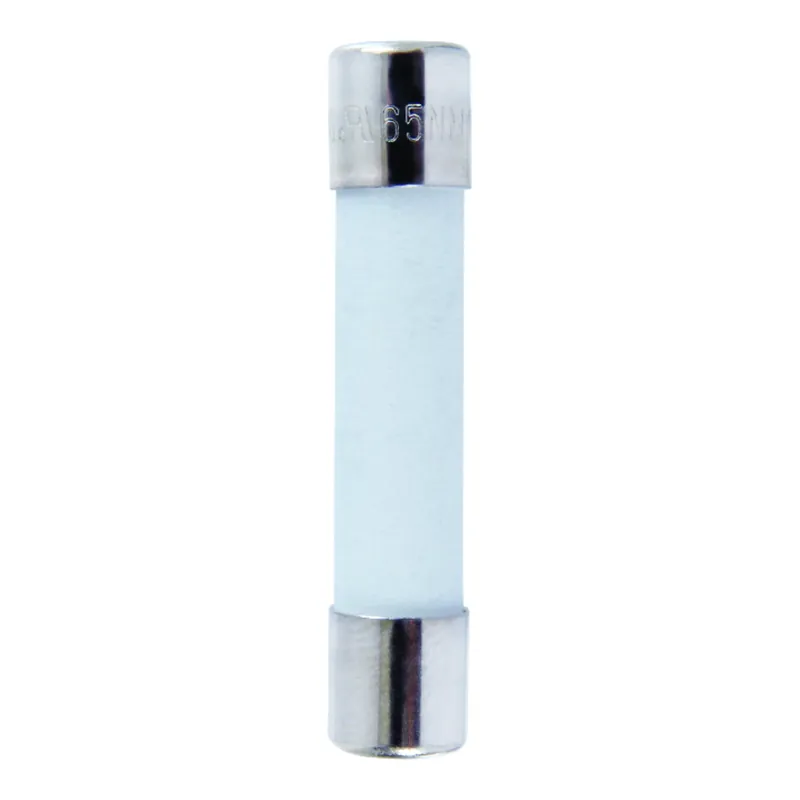 Jandorf ABC 20 Amps 250 Volts Ceramic Fast Acting Fuse 2 Pk