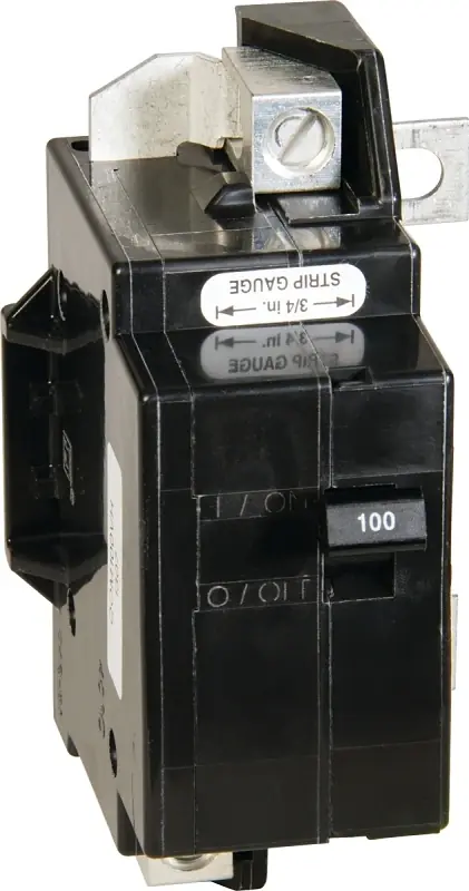 QO 100-Amp Double-Pole Main Enclosure Circuit Breaker