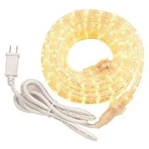 Westek Indoor/Outdoor 24 Ft. White Incandescent Rope Light Kit