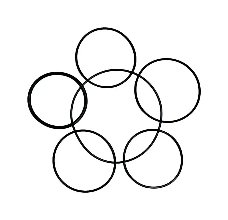 Danco 5-5/8 In. D X 3-3/8 In. D Rubber O-Ring Assortment 6 Pk