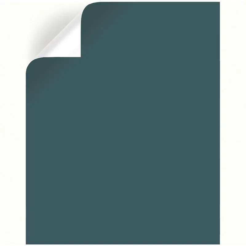 By Joanna Gaines Peel & Stick Color Sample - Weekend & Rainy Days