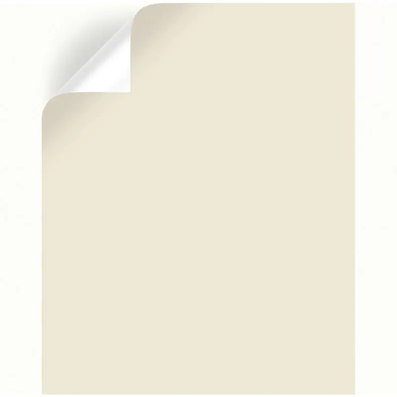 Carter Creme Peel & Stick Color Sample By Joanna Gaines - Model Jg-16