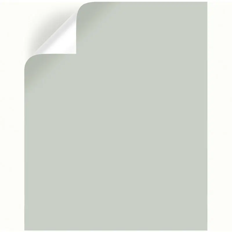 Emmie‘s Room Peel & Stick Color Sample By Joanna Gaines - Model Jg-13