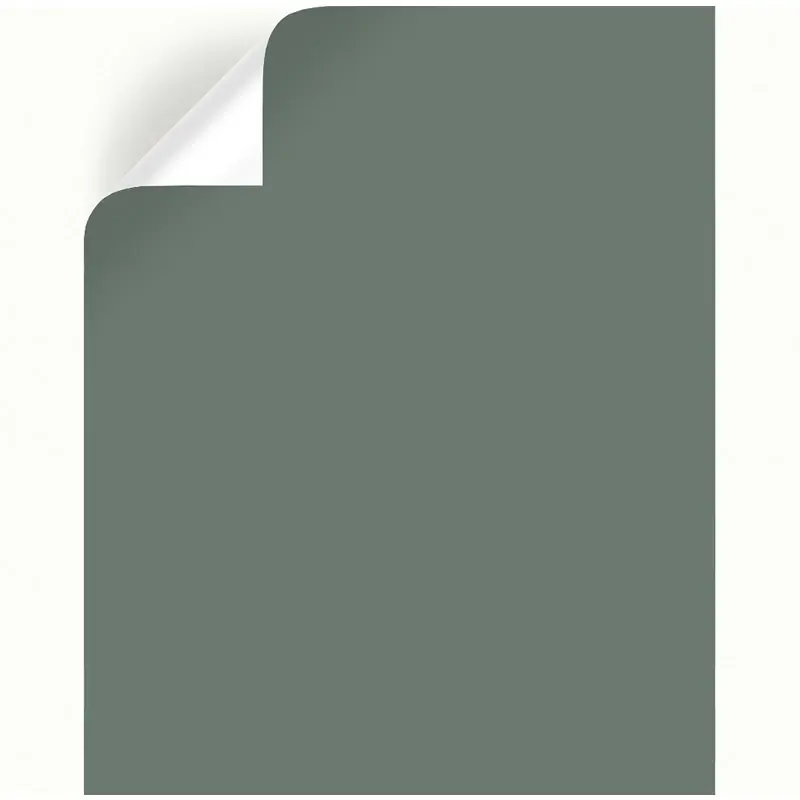 Luxe Peel & Stick Color Sample By Joanna Gaines - Model Jg-10