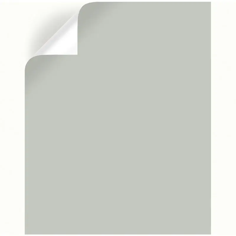 Wedding Band Peel & Stick Color Sample By Joanna Gaines - Model Jg-12