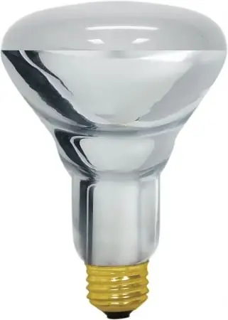 Ge Lighting 60 Watt BR30 Edison Halogen Flood Light Bulb 85116