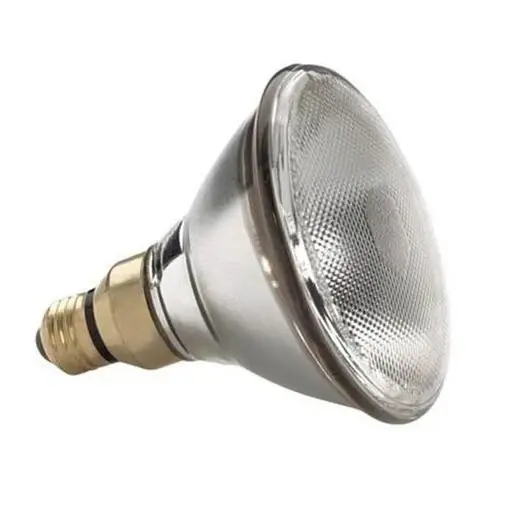 24865 100 Watt Incandescent Indoor Reflector Floodlight Bulb - 130 Volt