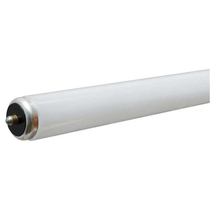 60 Watt 8 Foot T12 Cool White Fluorescent Tube Light Bulb
