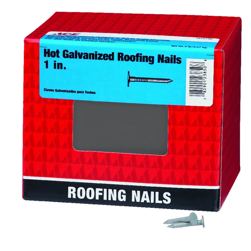 Ace 1 In. L Roofing Hot-Dipped Galvanized Steel Nail Smooth Shank Large 5 Lb.