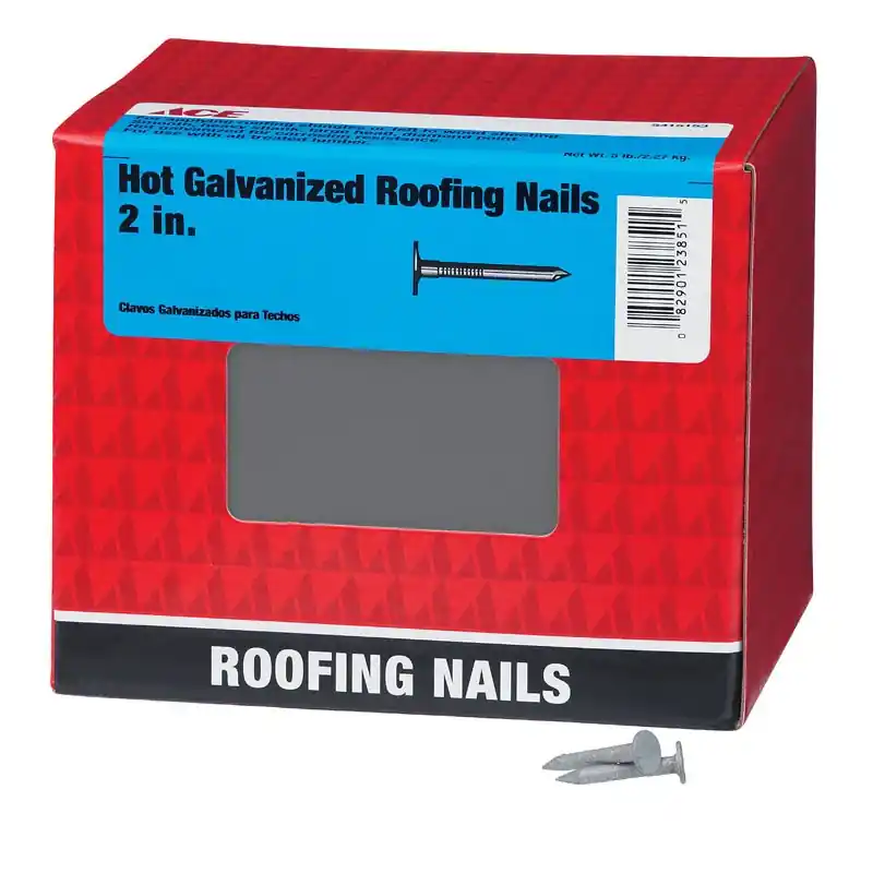 Ace 2 In. L Roofing Hot-Dipped Galvanized Steel Nail Smooth Shank Large 5 Lb.