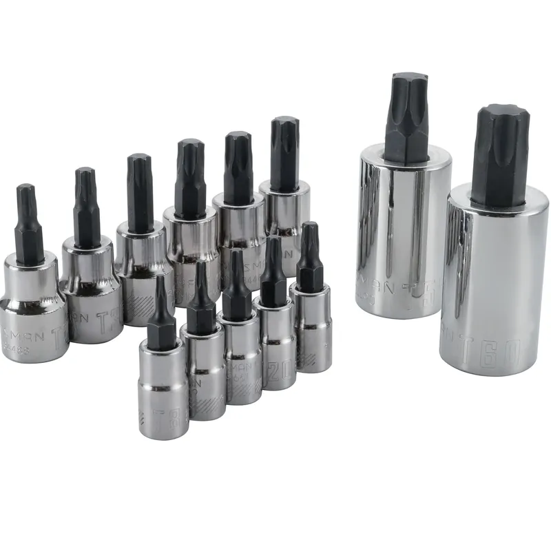 13-piece Torx Bit Socket Set With 1/4 And 3/8 Inch Drive