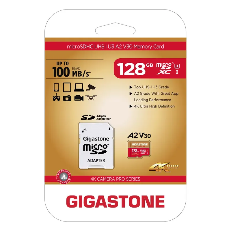 Gigastone SD Flash Memory Card 1 Pk