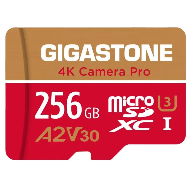 Gigastone Micro SD Flash Memory Universal Pack 256 GB 1 Pk