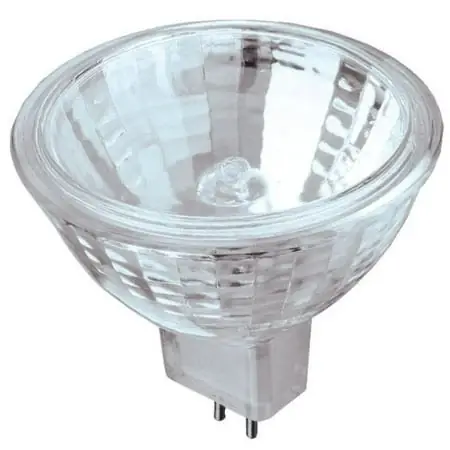 04781 20-watt Low Voltage Halogen Flood Light With Lens
