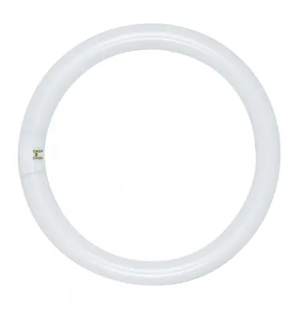Fluorescent Light Bulb, O-Ring, 8-In., 22-Watts