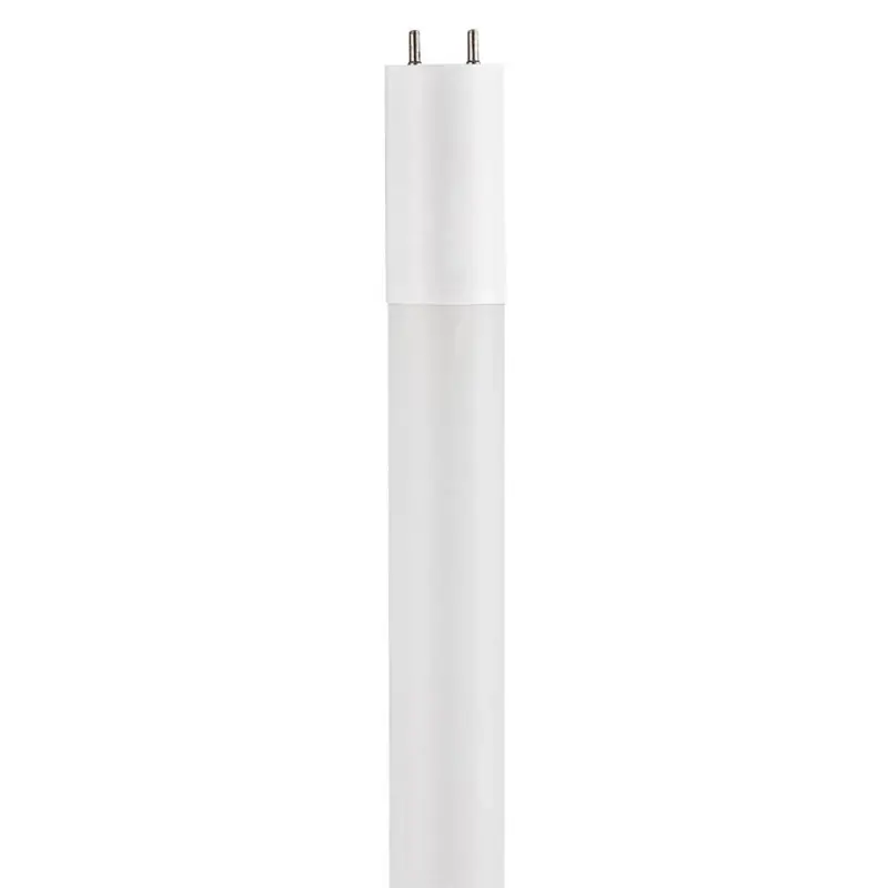 Westinghouse Dual Ended Ballast By-Pass T8 G13 (Medium Bi-Pin) Light Bulb Daylight 1 Pk