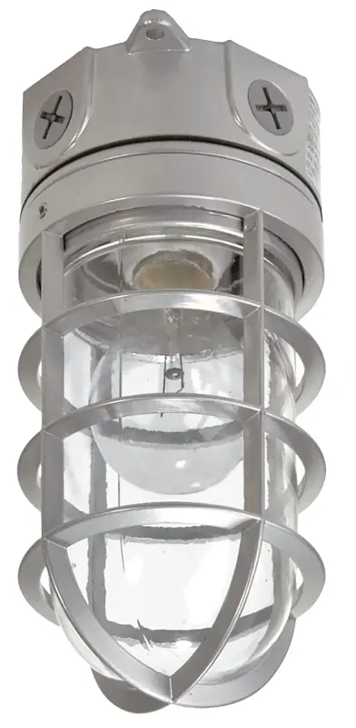 Floodlight With Bulb Guard, Incandescent, 100-Watt