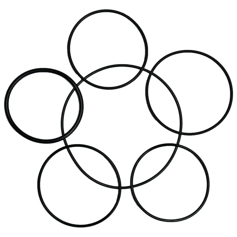 LARGE O-RING 6PC ASST
